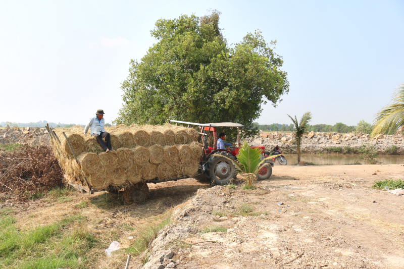 Nghề giao rơm