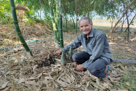 Những lão nông Tây Ninh tiên phong chuyển đổi cây trồng mang lại hiệu quả cao