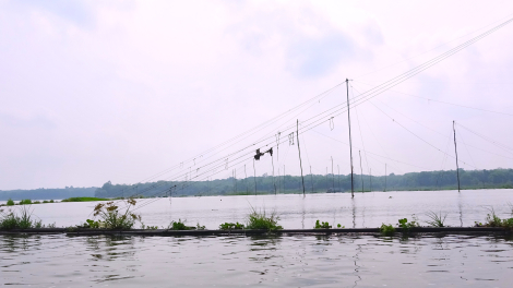 Xuất hiện nhiều vó cá trên sông Sài Gòn