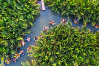 Kinh nghiệm du lịch Rừng Dừa Bảy Mẫu hướng dẫn chi tiết nhất