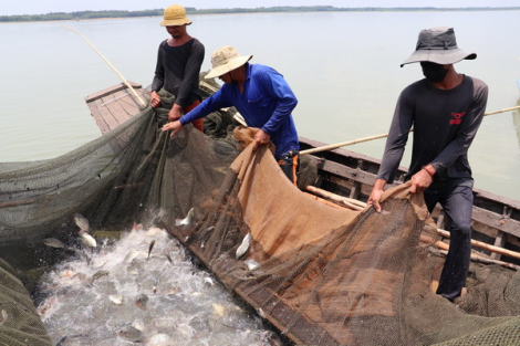 Vì một ngành thuỷ sản “xanh”, bền vững