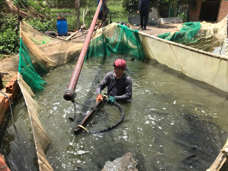 Tăng cường công tác bảo vệ và phát triển nguồn lợi thuỷ sản