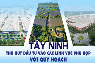 Tây Ninh thu hút đầu tư vào các lĩnh vực phù hợp với quy hoạch
