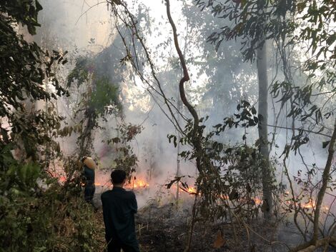 Cháy rừng tại Vườn quốc gia Lò Gò – Xa Mát