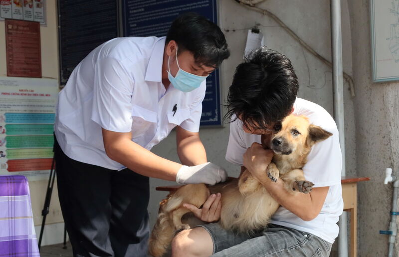 Hoà Thành: Triển khai tiêm vaccine phòng bệnh dại cho chó, mèo