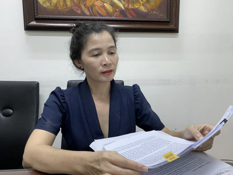 Đoàn Luật sư TP HCM xóa tên bà Đặng Thị Hàn Ni