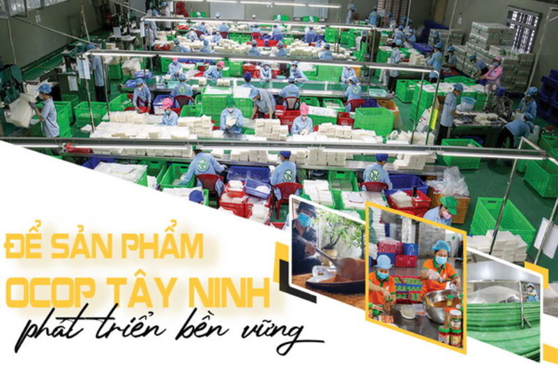 Để sản phẩm OCOP Tây Ninh phát triển bền vững