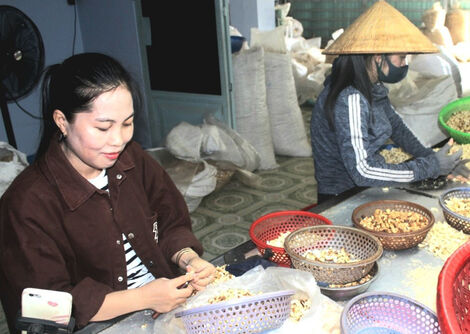Chị Nguyễn Thị Ảnh- nông dân sản xuất, kinh doanh giỏi