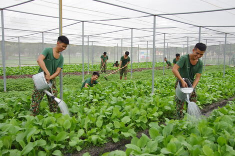 Đẩy mạnh tăng gia sản xuất, nâng cao đời sống bộ đội