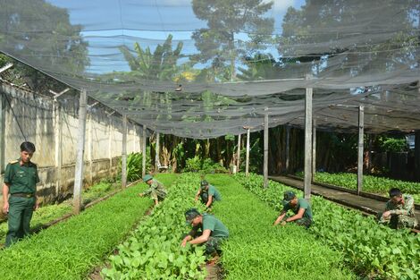 Ngành Hậu cần LLVT tỉnh: Phát huy tiềm năng, thế mạnh tại chỗ