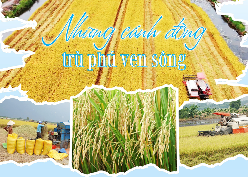 Những cánh đồng trù phú ven sông