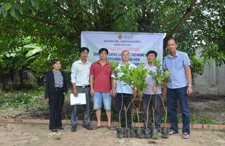 Tân Châu: Bàn giao cây giống thực hiện mô hình trồng thâm canh chôm chôm