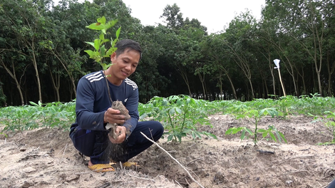 Ban Quản lý Khu rừng phòng hộ Dầu Tiếng: Thông báo về việc thanh toán kinh phí khoán còn tồn đọng