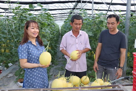 Cơ cấu lại ngành nông nghiệp, hướng đến phát triển bền vững