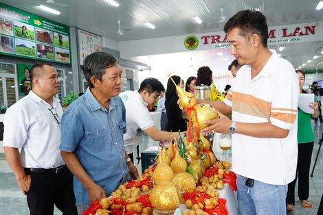 Kết nối giao thương, tiêu thụ sản phẩm tỉnh Tây Ninh -  Đắk Lắk - Trà Vinh năm 2024