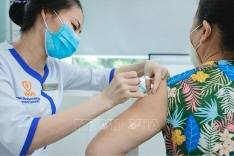 Bộ Y tế khuyến cáo về tiêm chủng vaccine phòng bệnh bạch hầu