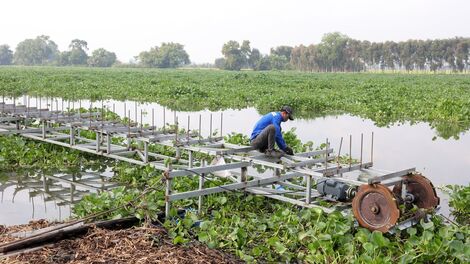 Sẽ tiếp tục đề nghị đơn vị thi công đầu tư thiết bị trục vớt lục bình trên sông Vàm Cỏ Đông