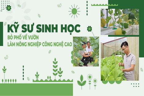 Kỹ sư Sinh học bỏ phố về vườn làm nông nghiệp công nghệ cao