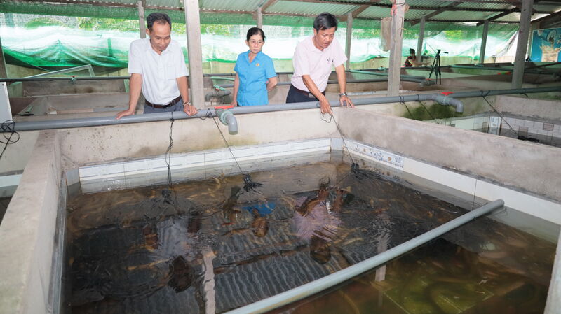 Hội Nông dân xã Phước Đông: Cầu nối để nông dân tiếp cận nguồn vốn sản xuất