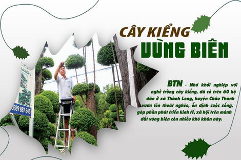 Cây kiểng vùng biên