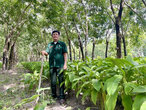 Cựu chiến binh làm kinh tế giỏi