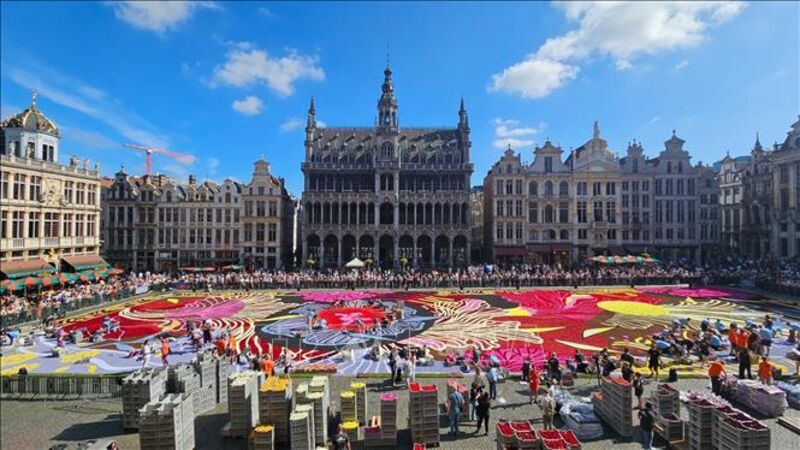 Rực rỡ thảm hoa Brussels 2024