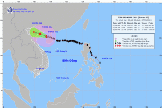 Bão số 3 Yagi cách Móng Cái 180km, mạnh cấp 14 giật cấp 17
