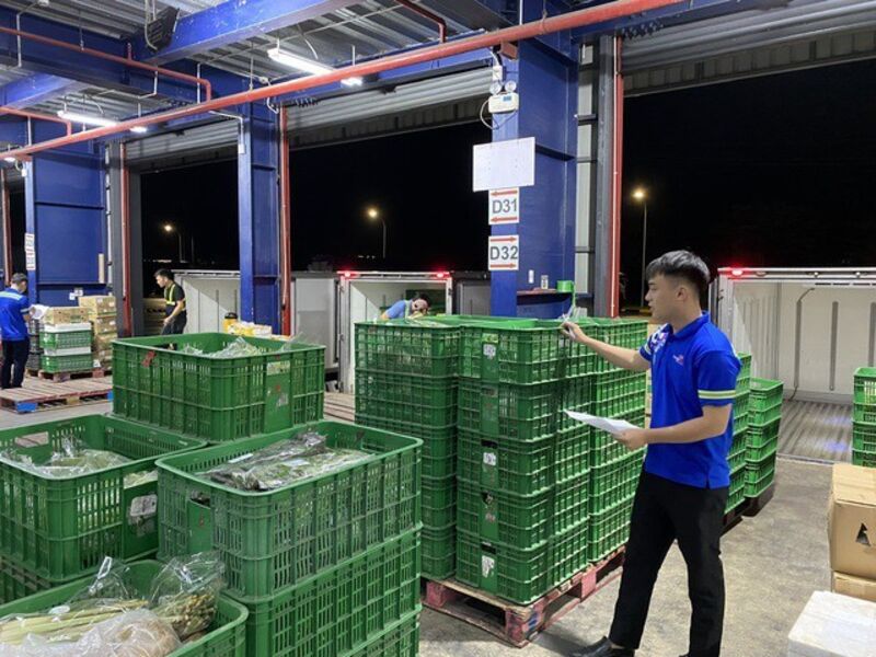 Đưa hàng trăm tấn rau củ quả, thịt heo... tiếp ứng vùng lũ miền Bắc mỗi ngày