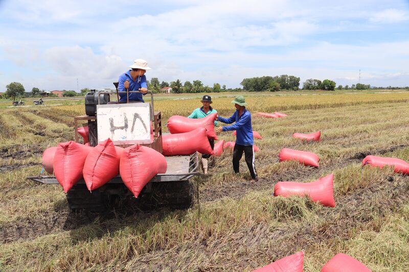 Nâng cao chất lượng, hiệu quả hoạt động hợp tác xã