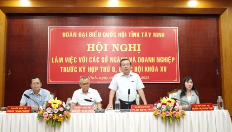 Đoàn đại biểu Quốc hội tỉnh: Ghi nhận nhiều ý kiến của lãnh đạo sở, ngành, doanh nghiệp về các dự thảo luật