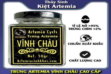 Thuỷ Sinh Kiệt Artemia Nơi Bán Artemia Vĩnh Châu Cao Cấp