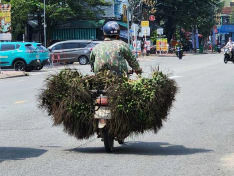 Trung Quốc 'quay xe', giá cau trên đà lao dốc