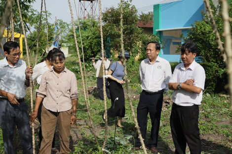 Tây Ninh là tỉnh có điều kiện đất đai, khí hậu và nguồn nước tưới dồi dào nên thuận lợi phát triển các cây trồng, trong đó có cây khoai mì (sắn).