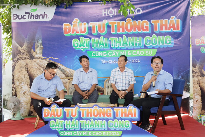 Để cây khoai mì và cao su phát triển bền vững