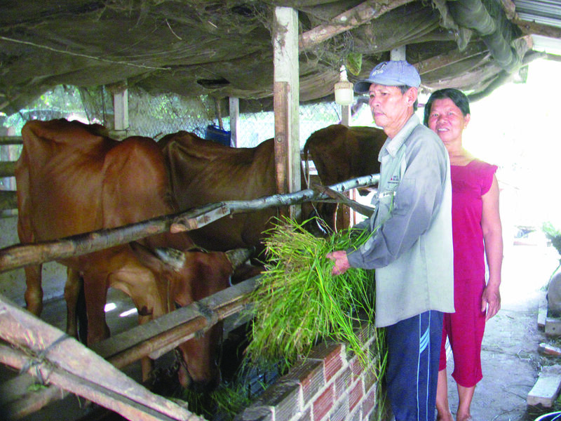 Cuộc sống ổn định nhờ cần kiệm và sử dụng vốn vay có hiệu quả