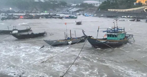 Bão Trami áp sát Quảng Nam, Đà Nẵng: Mưa to, gió giật liên hồi