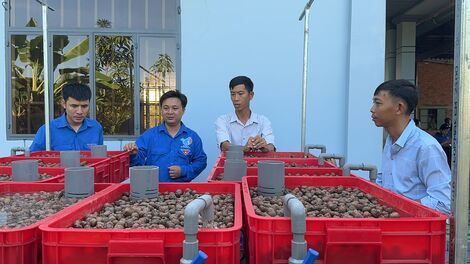 TP. Tây Ninh: Khai giảng lớp tập huấn mô hình trồng rau thuỷ canh kết hợp nuôi cá sạch