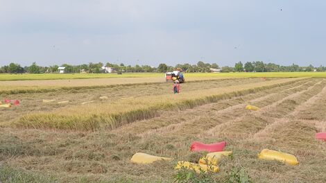 Sông Vàm Cỏ Đông chảy qua địa bàn tỉnh Tây Ninh với chiều dài 105 km, đóng vai trò rất quan trọng trong sản xuất nông nghiệp, nuôi trồng thuỷ sản, vận chuyển hàng hoá bằng giao thông đường thuỷ.