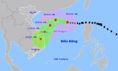 Bão số 7 duy trì cấp 14 trên Biển Đông, hướng về vùng biển Quảng Trị-Quảng Ngãi