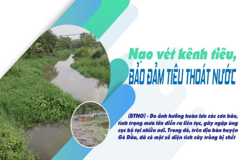 Nạo vét kênh tiêu, bảo đảm tiêu thoát nước