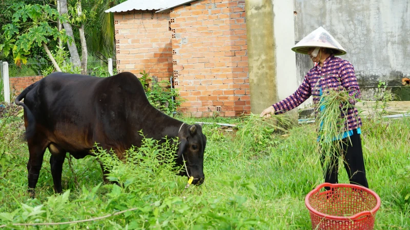 Mô hình sinh kế  – Điểm tựa cho phụ nữ thoát nghèo