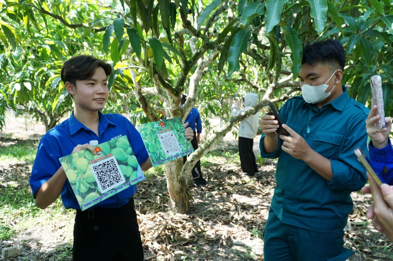 Tỉnh đoàn hỗ trợ đoàn viên, thanh niên Tân Biên xây dựng nông thôn mới