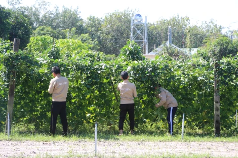 Tiếp tục thực hiện có hiệu quả công tác phòng chống tội phạm và vi phạm pháp luật trong tình hình mới