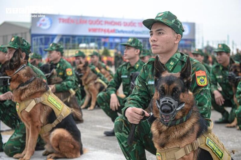 Điều đặc biệt đội quân khuyển tham gia trình diễn tại Triển lãm Quốc phòng quốc tế Việt Nam