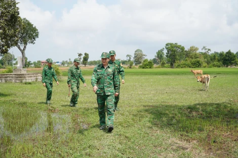 Tập trung phòng chống buôn lậu trước, trong và sau Tết Nguyên đán Ất Tỵ 2025