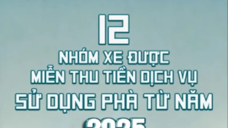 12 nhóm xe được miễn thu tiền dịch vụ sử dụng phà từ 2025