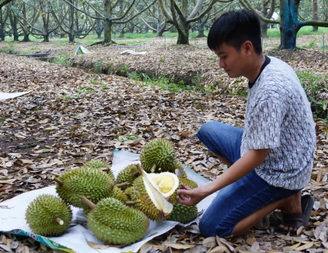 Đẩy mạnh chuyển đổi số trong công tác quản lý an toàn thực phẩm lĩnh vực nông nghiệp