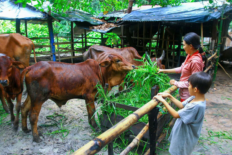 Đào tạo nghề gắn liền với giải quyết việc làm cho lao động nông thôn, chìa khoá giảm nghèo bền vững