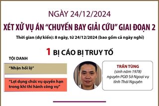 Ngày 24/12/2024: Xét xử vụ án 'chuyến bay giải cứu' giai đoạn 2