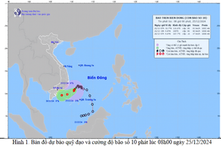 Tin bão trên Biển Đông, cơn bão số 10